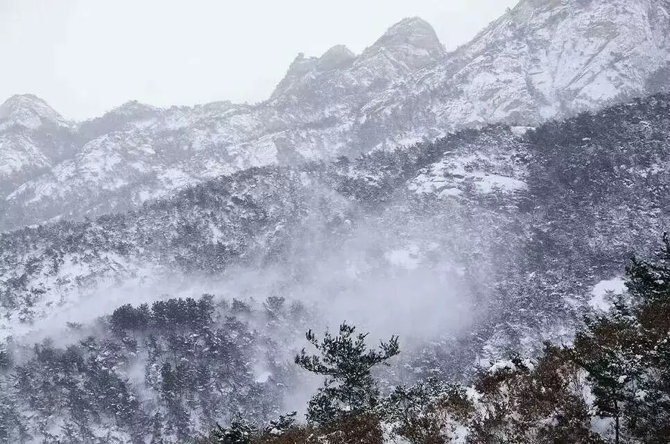 昆嵛山|一场冬雪后，昆嵛山竟变成这样……