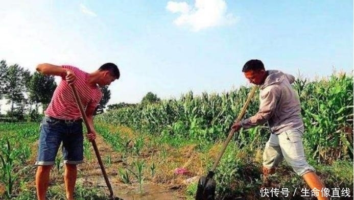 墓地|“千人挣钱,不如一人睡觉”,难道睡觉也赚钱?别理解错了