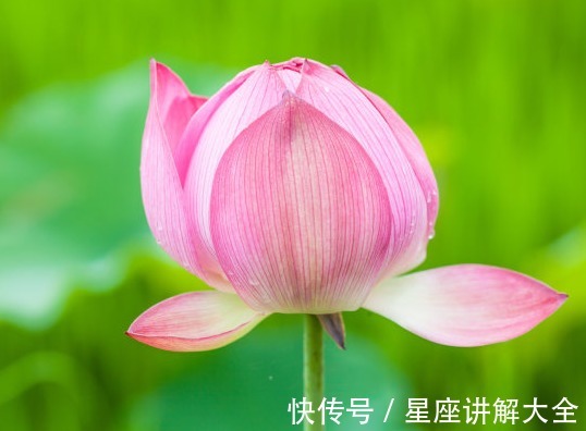 梅花香|步入9月中旬，4属相吉星庇佑，事业进步，升职加薪，日子红火