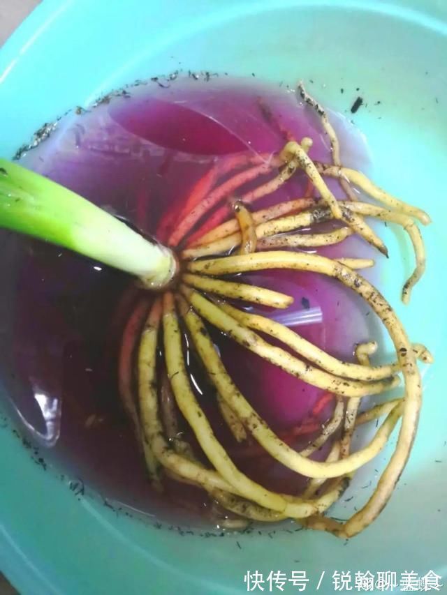 1粒小药片,碾碎丢水里,花像吃了兴奋剂疯长