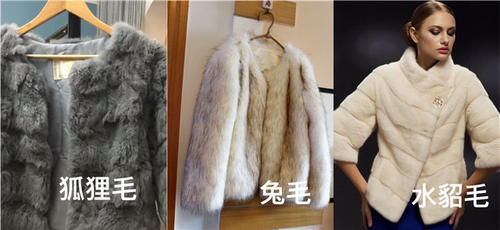 今年火了一种外套，保暖不输羽绒服、气质不输大衣，好看不挑人！