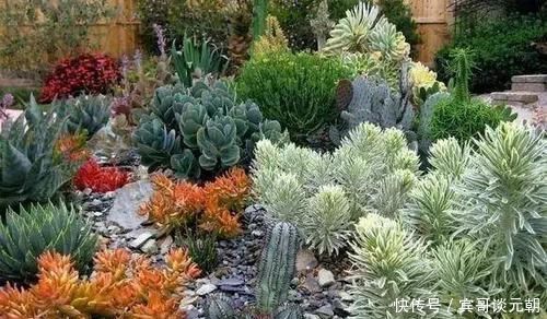 7个绝美花园,个个美炸了天,等有钱了我也要建一个