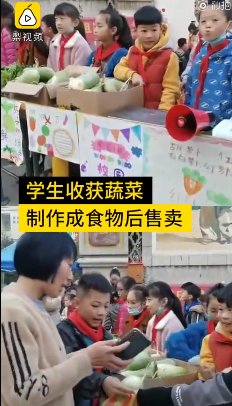 小学生|小学生春天播种秋天收获义卖 老师：各年级分工，同学们都很喜欢