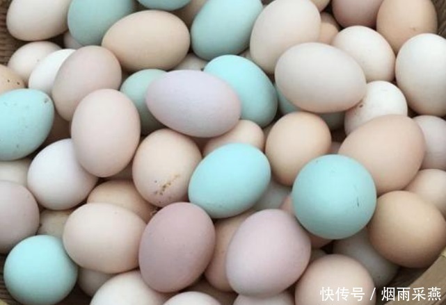 买鸡蛋,白壳比红壳好?养殖场大婶告诉你,牢记2点不被忽悠