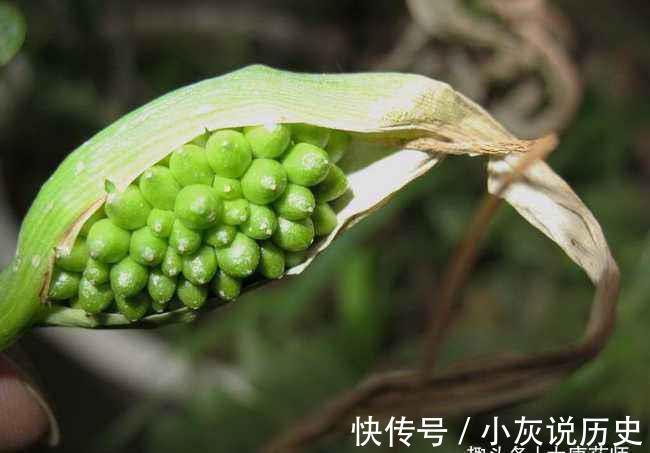 打嗝|4个防止晕车的小妙招,缓解出行的痛苦,增加旅途中的幸福感!