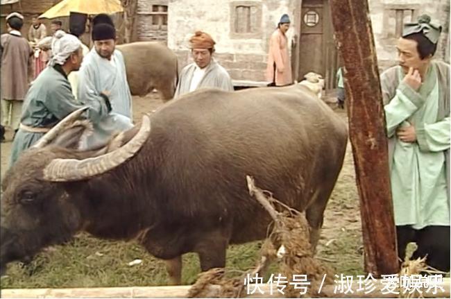 坐骑|道教始祖太上老君，坐骑为何是头青牛它是什么来头