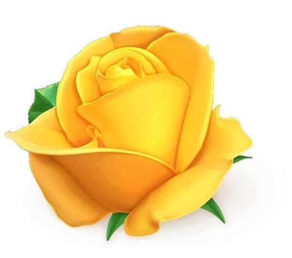 金牛座|最有“骨气”的四大星座女,不会向任何人低头,傲娇又自信!