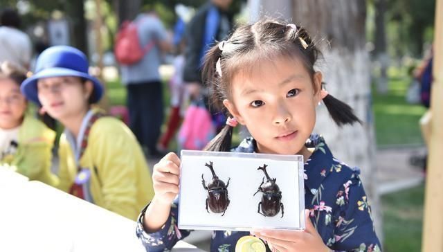 老师|4岁女儿画了只小恐龙,吓坏女老师,家长却很高兴