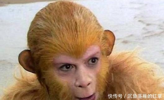 孙悟空|原来猴子在成石头之前还有一个身份?难怪玉帝老君如来都不敢杀他