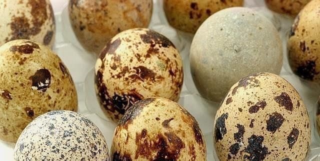 含有|怀孕阶段,孕妈一次吃几个鹌鹑蛋好关于吃鹌鹑蛋的好处,别忽视