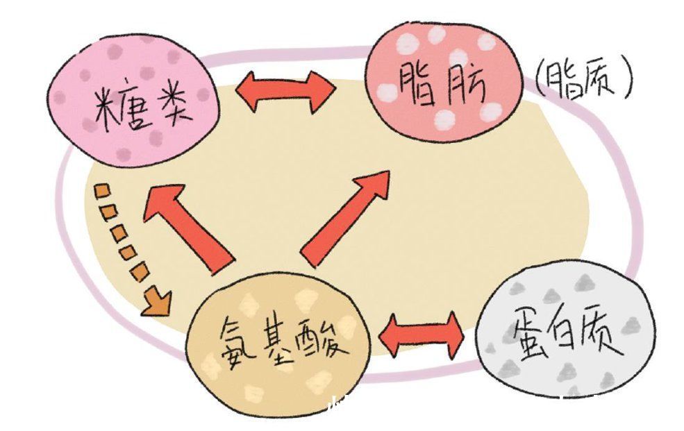家长|辟谣：开学两周，家长应该注意孩子这些健康情况