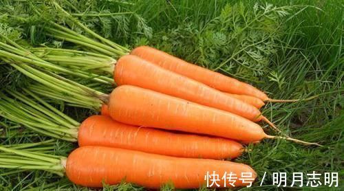 卵巢|卵巢“年轻”的女性，通常有3个特性，你若全没有，说明卵巢老了