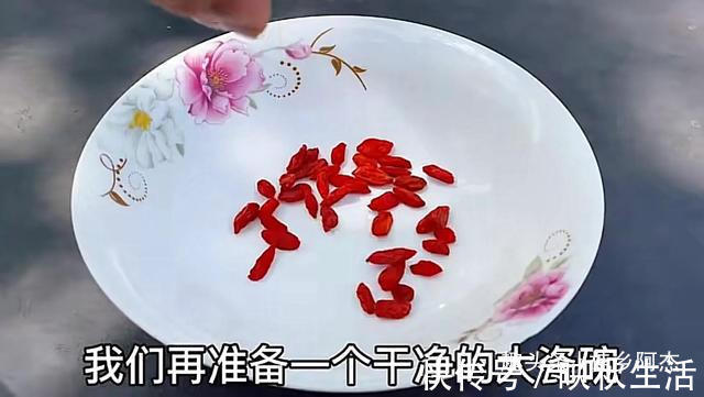 挥发油|扔葱根等于扔钱，葱根原来是个宝，作用这么厉害，太实用了