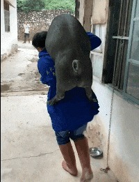 |搞笑GIF:妹子这跳的什么舞蹈啊,怎么看起来蛇精一般呢