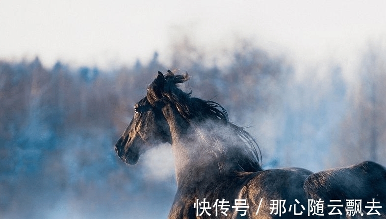 运势|属相马进入10月，运势有所上升，事业也会有贵人相助