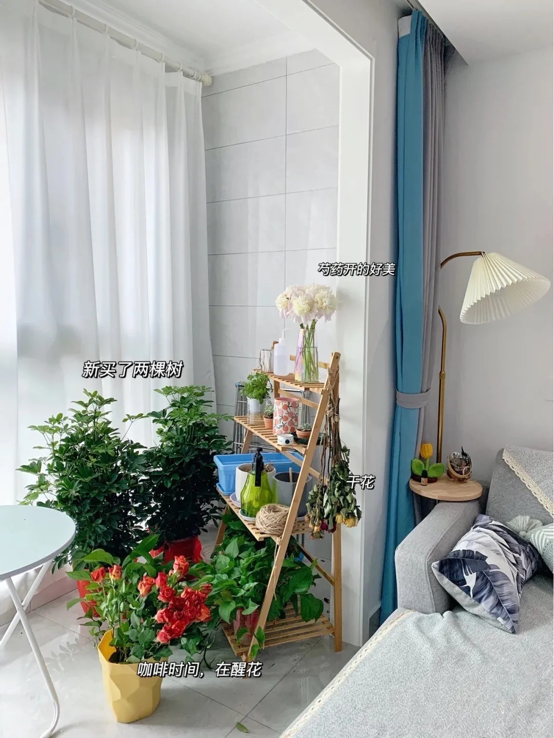 吊顶|78平米小户型,面积不大,却很舒适温馨,满满的烟火气息