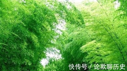 中国文学@唐诗里一首描写风的诗作，通篇都是风，但是却没有一个风字！