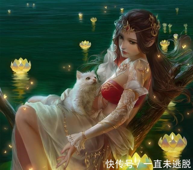 斗罗大陆|斗罗大陆最美丽的五个武魂! 一个成为霍雨浩女儿, 一个是他的妻子！