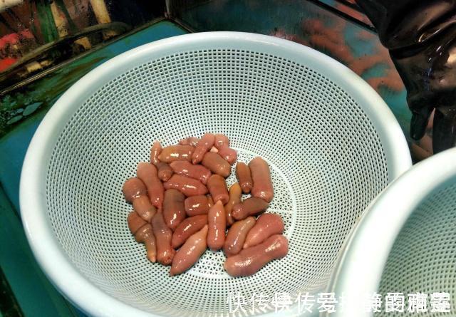 脂肪含量|它是“平民海参”,常吃滋补肝肾,一斤才10块钱,不懂吃真可惜!