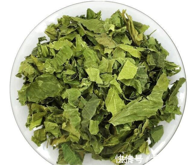 握力|50岁是寿命“决定期”,此时身体还有5个表现,是长寿征兆