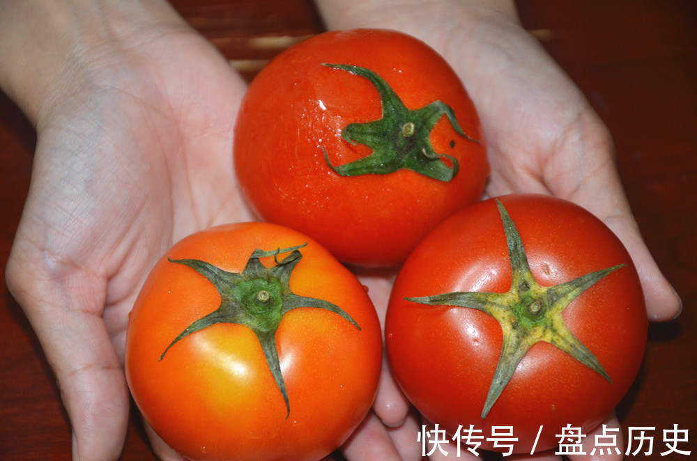 洋柿子|打了激素西红柿怎么辨别?菜农:教你4招,包你买到优质西红柿