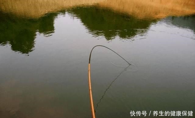 阈值|想要钓大鱼不爆竿,就别只盯着鱼竿顶钓拉力值,调性才是最关键的