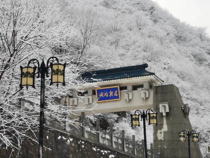 来崆峒山开启一场养生之旅（二）|会养生·来崆峒 | 养生餐