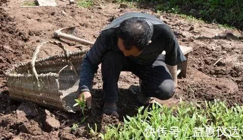 慢性疾病|五六十年代,为什么人们每天吃腌咸菜,患高血压的人群却比较少?