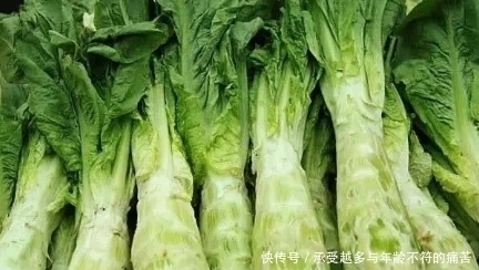 莴笋和莴苣有什么区别，很多人不知道，看完以后就懂了