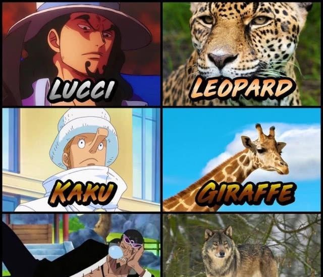 海贼王每个角色都代表一种动物,索隆是猛虎,为何山治是鸭子