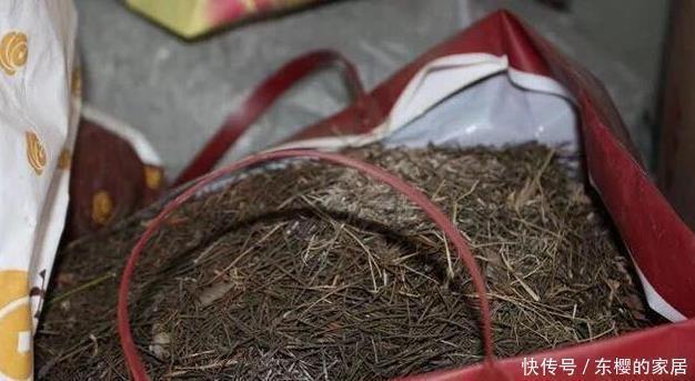 此些东西养花特别好,盆土一年不板结,花草长得旺、开的多又艳