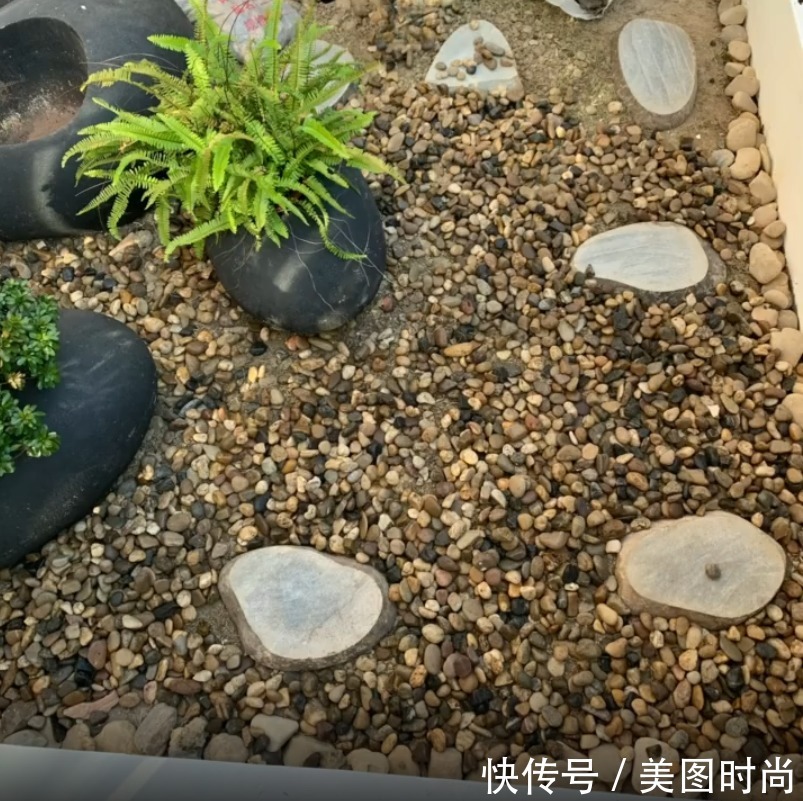 花园|花了两万块,用了7天时间改造40㎡一楼花园,分享花园改造过程