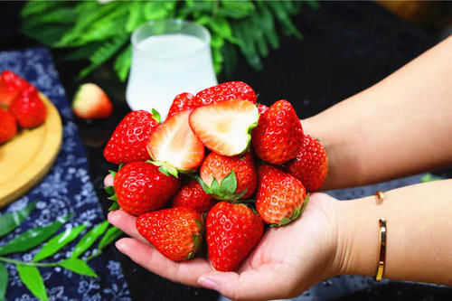  将草莓|清水洗草莓，比没洗还脏，教您2个小妙招，虫卵和污垢自动溜出来