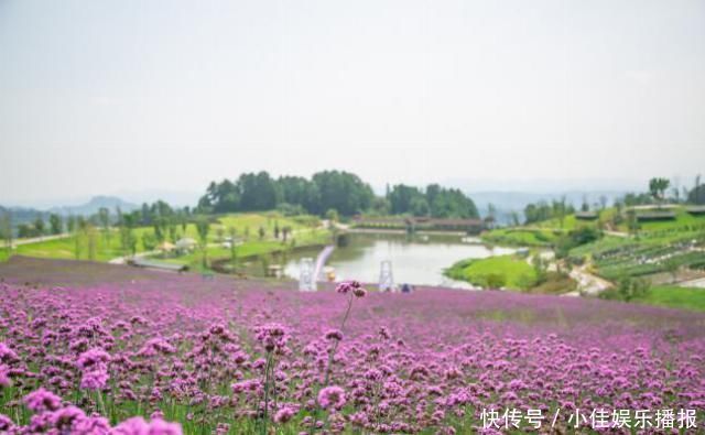 三天两晚綦江之旅，这里是重庆城区外的清凉之地，也是美食遍布的艺术之乡