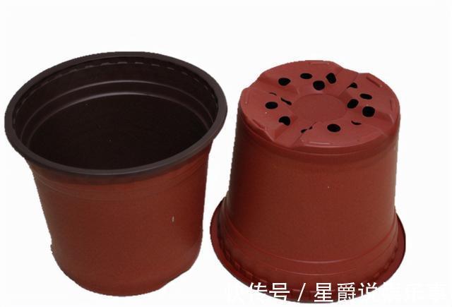 花草|6种花盆，不适合养花，难怪长势不好，扔了吧