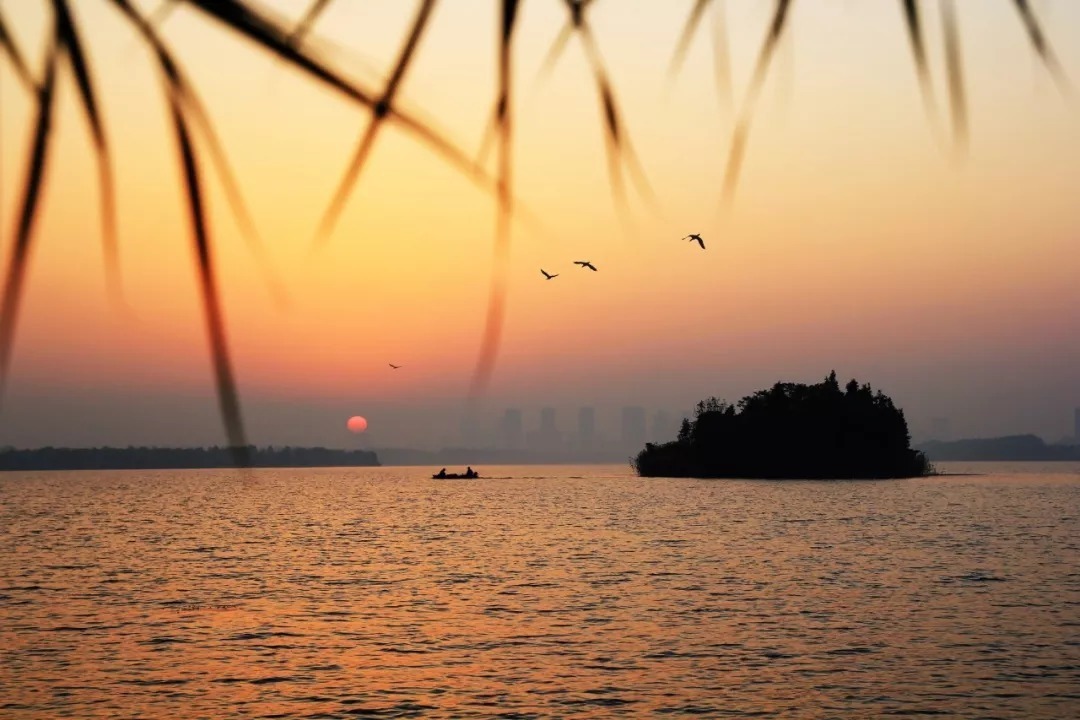 夕阳|细读十首刘长卿诗：日暮苍山远，天寒白屋贫