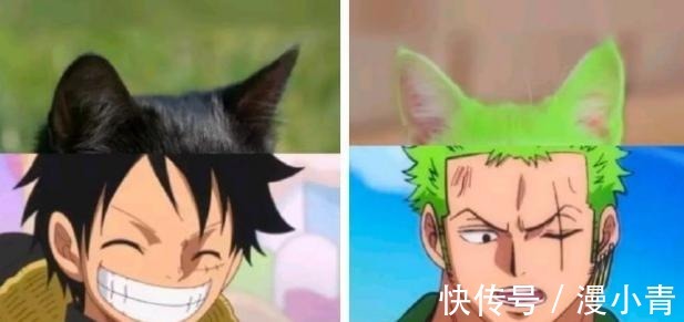 太宰治|把动漫人物换成“猫猫头”,人物顿时显得可爱了,但布姐yyds