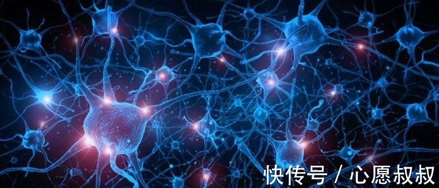 天地@龙图三变续篇,天地万物演化形成之数