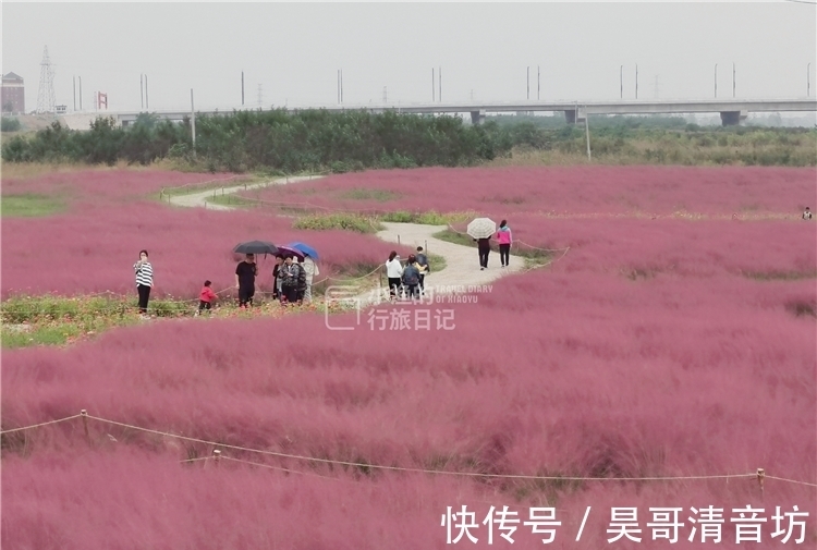 红花海|网红花海、主题乐园、民俗小镇，西安这条逛吃休闲路线，太好玩了