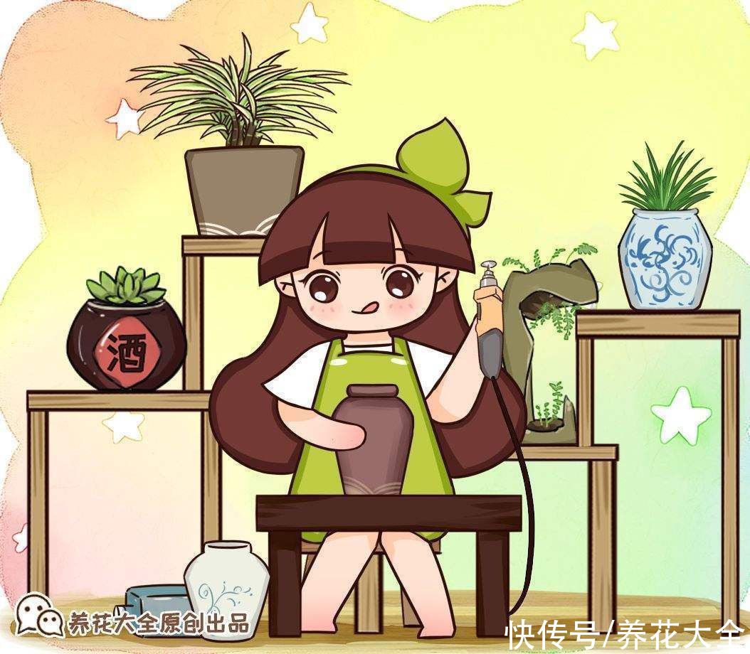 花盆选好了，花草活一半，现在就教你