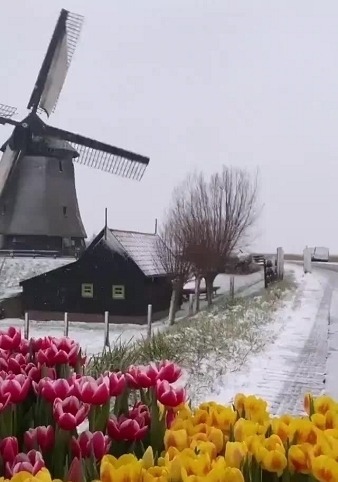 荷兰|最美人间4月天？复活节荷兰秒变滑雪度假村