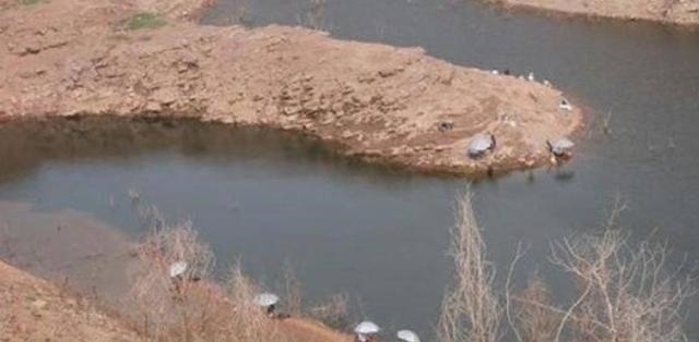 怪不得老钓手一字不透露，原来热天的鱼都藏在这，白钓二十年鱼