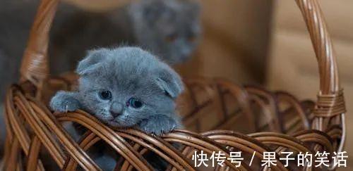 |5个幽默故事,5个启示(必读!)