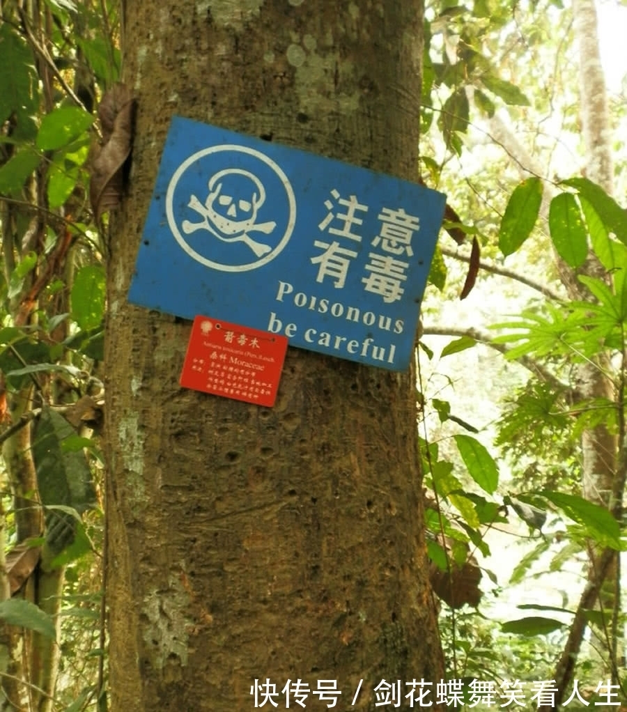 植物各部分名称图片 植物各部分名称图片