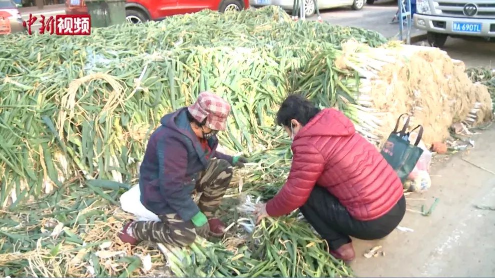 冬天|当囤菜腌菜的画面出现，东北孩子开始想家了……