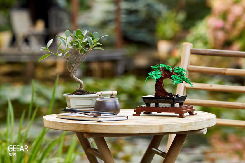 乐高首次推出植物系列,为居家摆设添上一束永不凋谢的花!