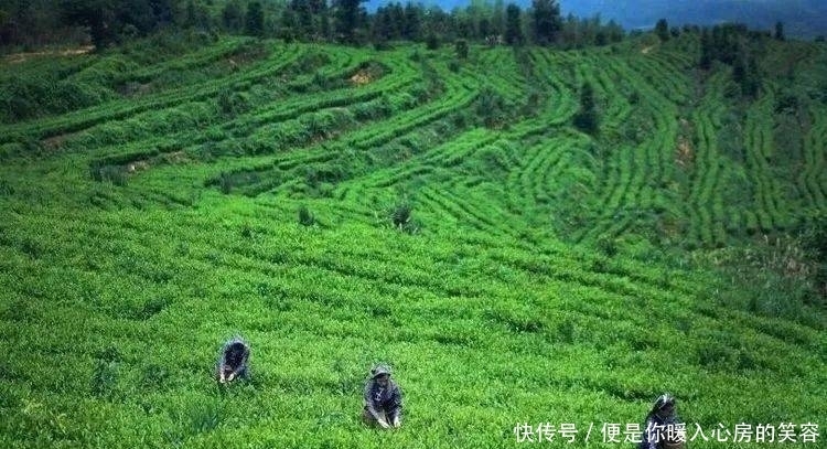 龙南一日，让你虔心回归自然的小镇