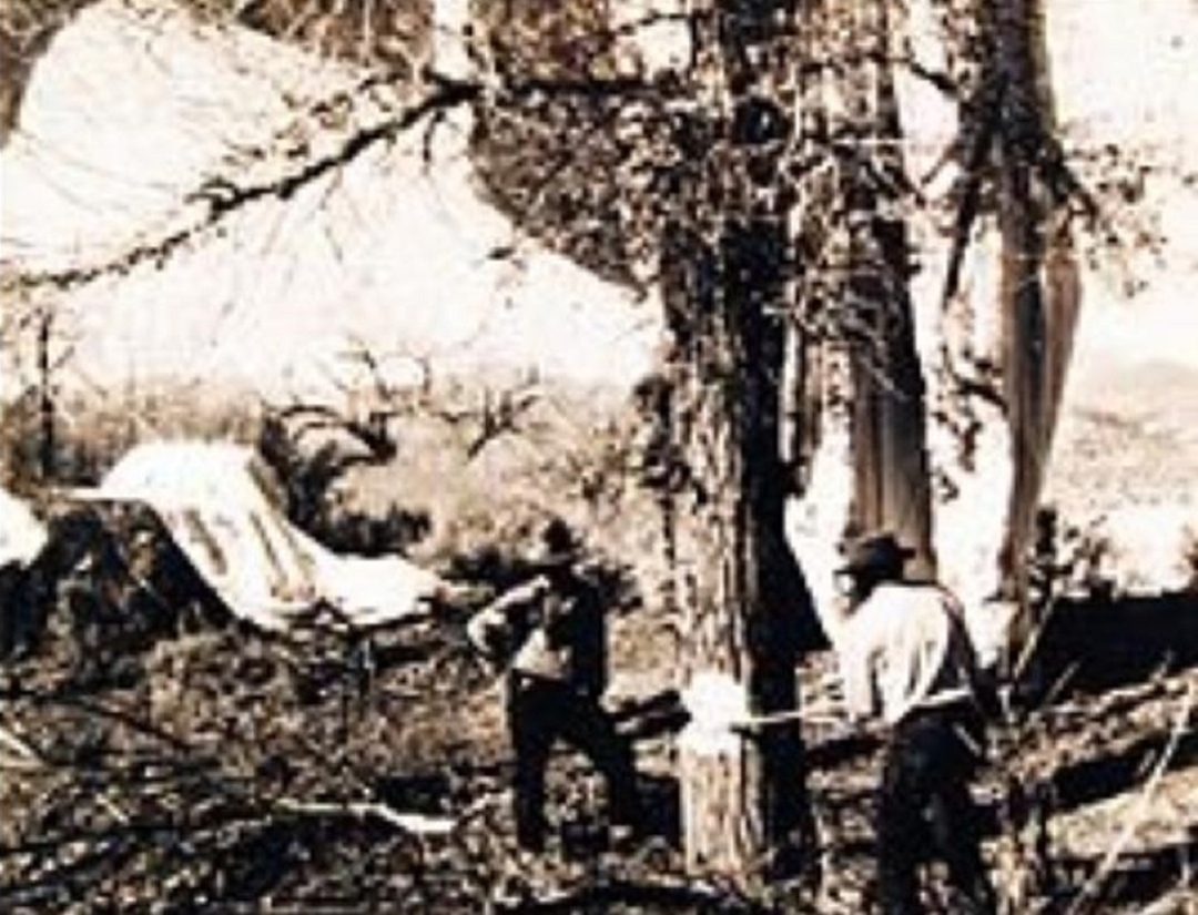 二战|武器中的“纸老虎”，二战中令美国上下提心吊胆的气球炸弹