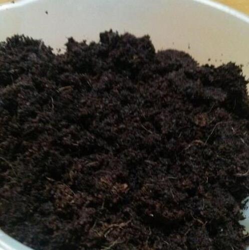 养花土，用一个塑料袋，轻松杀虫灭菌，花盆里一个虫子都没有