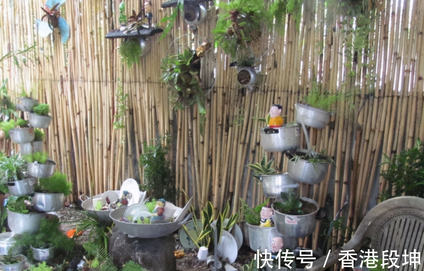 20多岁开始养花,宁愿少买衣服,也要多买几盆花,这才是爱花之人